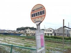 「御蔵騎西屋前」バス停留所