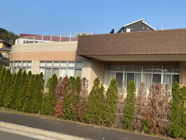 ほのぼの