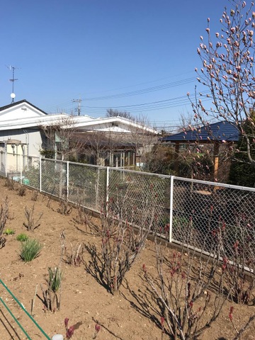県西さわやか