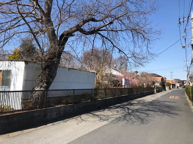 県西さわやか
