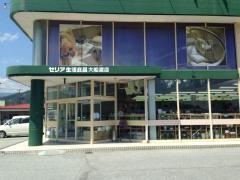 Ｓｅｒｉａ　大船渡店
