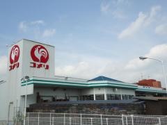 コメリハード＆グリーン　大任店