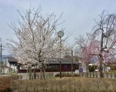 大学前駅