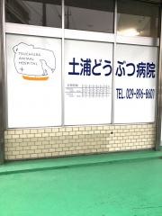 土浦どうぶつ病院