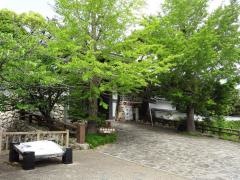 護国神社