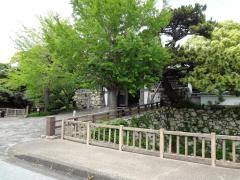 護国神社