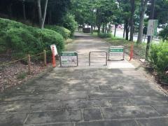 港北ニュータウン緑道4号