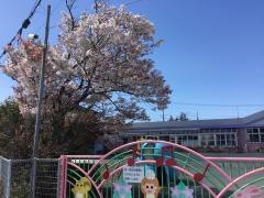 すみれ保育園