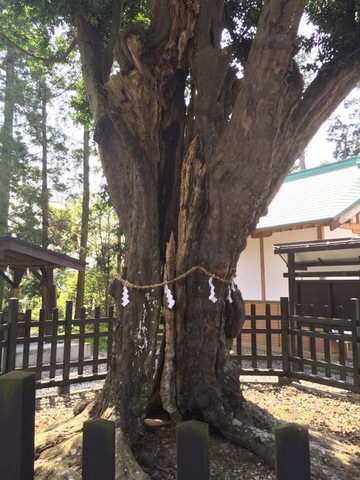 施設写真11