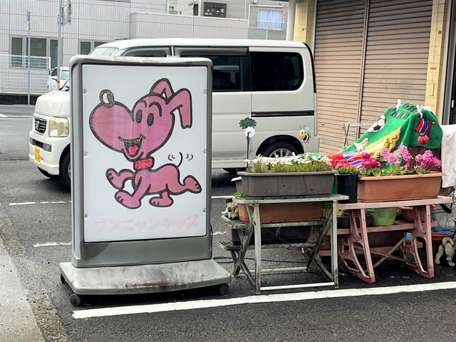 投稿写真1