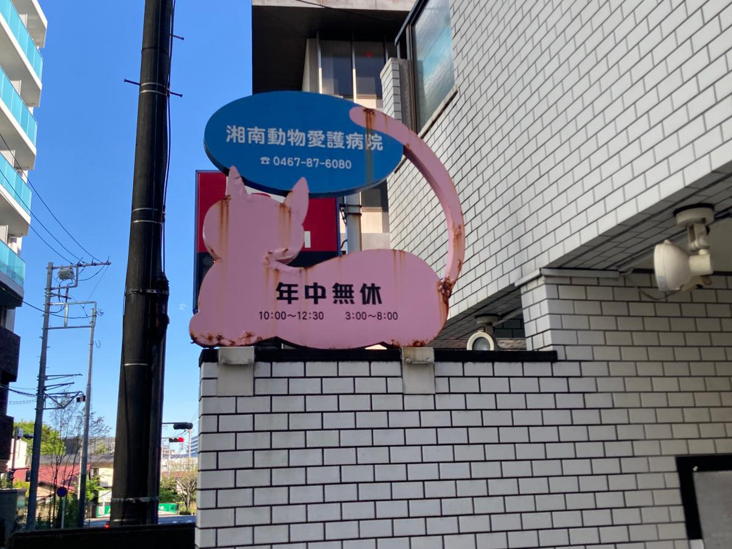 湘南 動物 愛護 病院