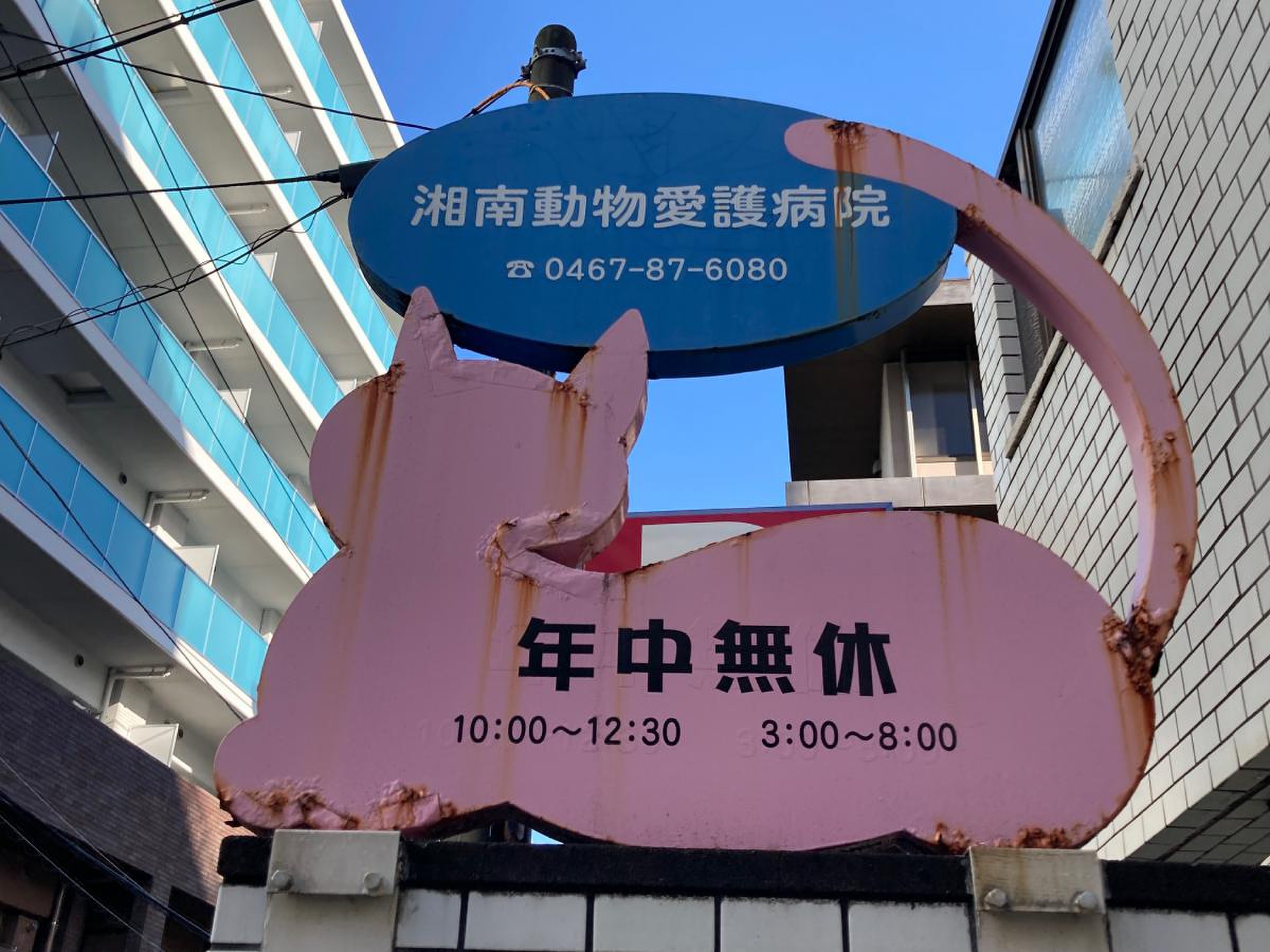 湘南 動物 愛護 病院