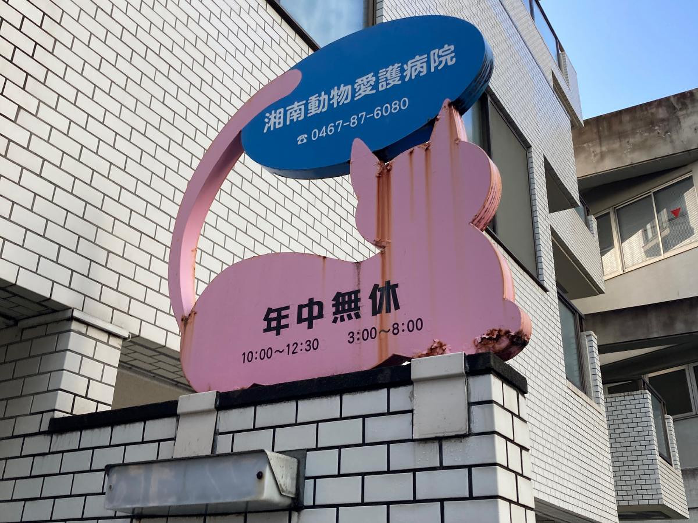 湘南 動物 愛護 病院