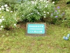 城山公園