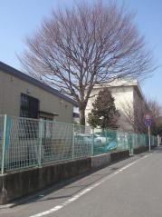 淵野辺小学校