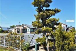 西中町クリニック