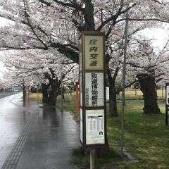 「致道博物館」バス停留所