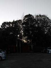 城山八幡宮