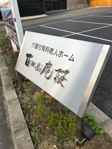 百ねん庵　桜