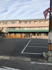 百ねん庵　桜