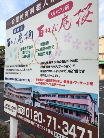 百ねん庵　桜 看板