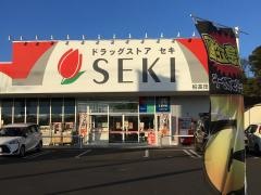 ドラッグストアセキ柏高田店