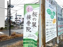 桜の栞接骨院