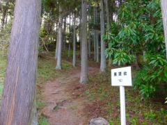 大亀山森林公園展望台