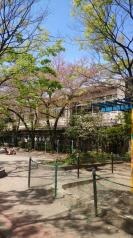 柳島幼稚園