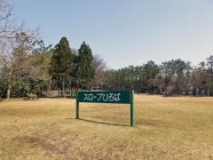 富山新港地区緩衝緑地