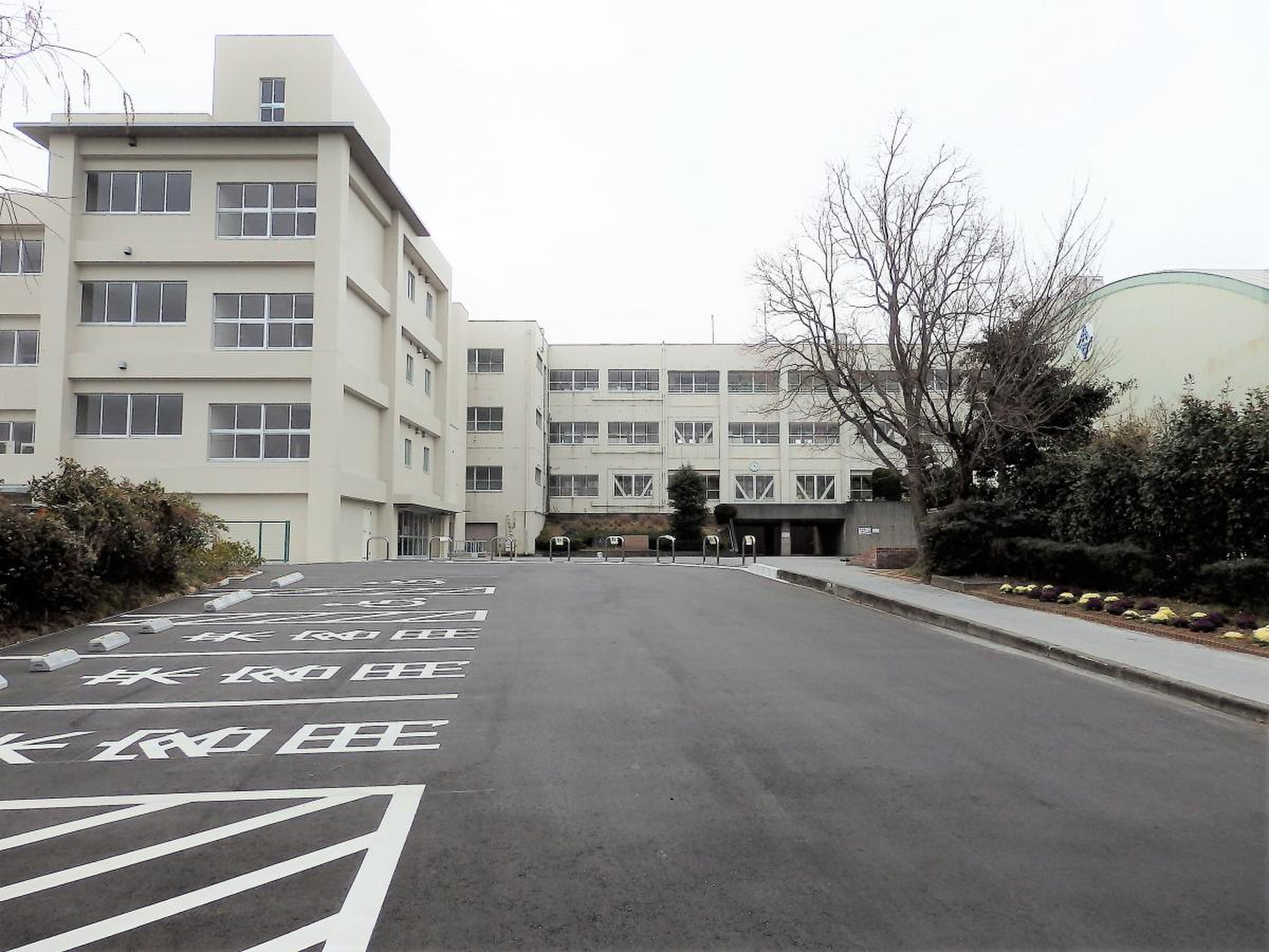 大府 市立 共和 西 小学校