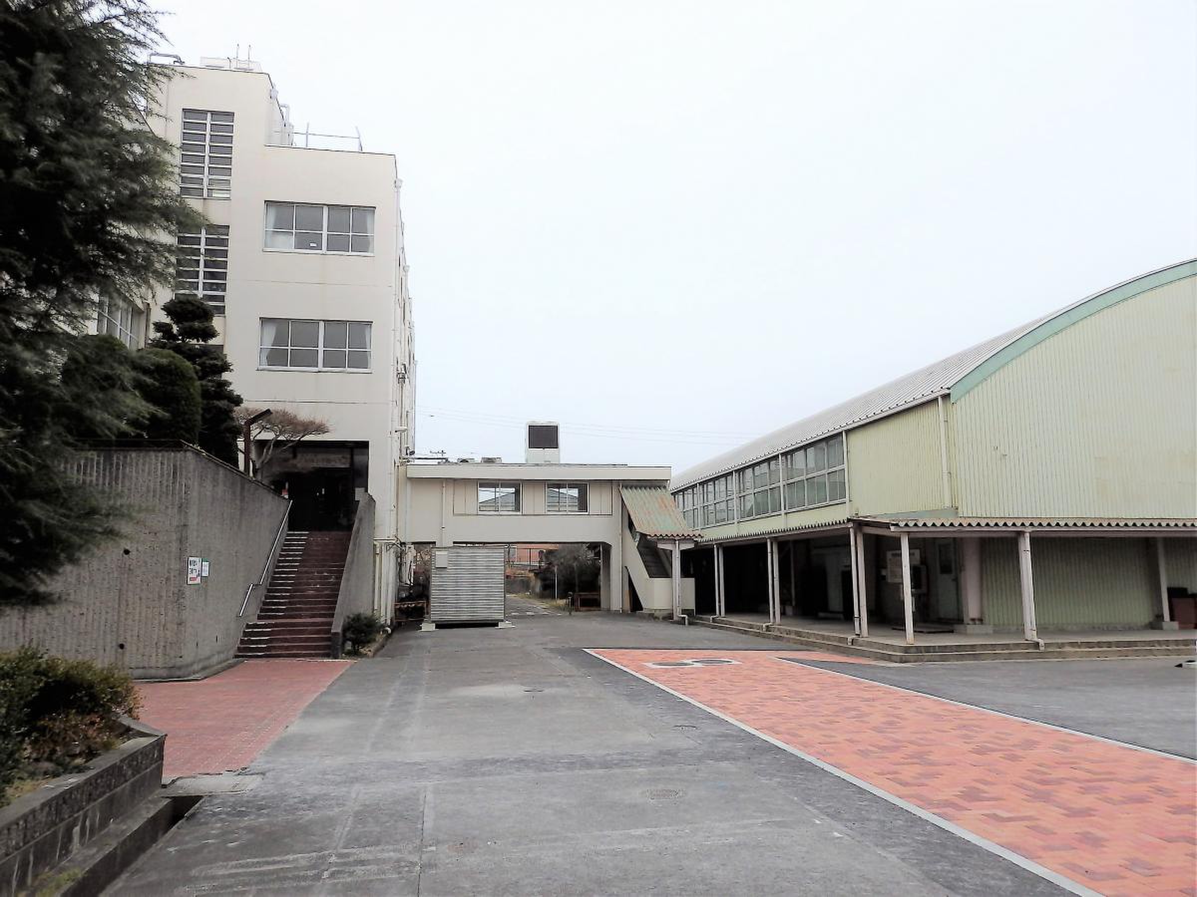 公の場での発言・インタビュー報道記録