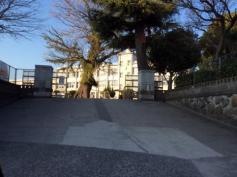向花小学校