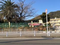 向花小学校