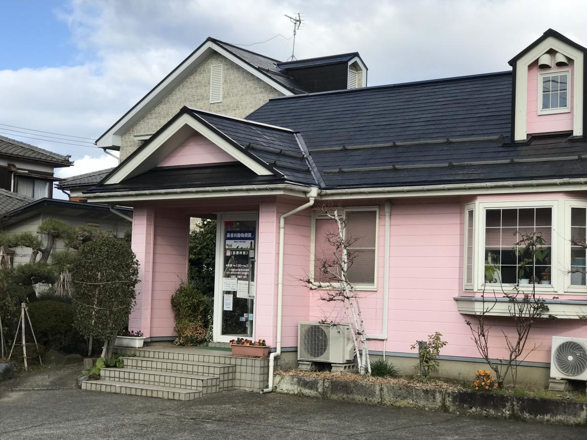 長谷川動物病院