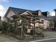 長谷川動物病院
