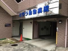 ミウラ動物病院