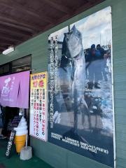 魚喰いの大間んぞく