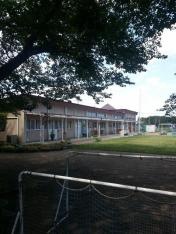 芳野幼稚園
