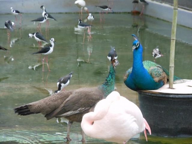 施設写真585