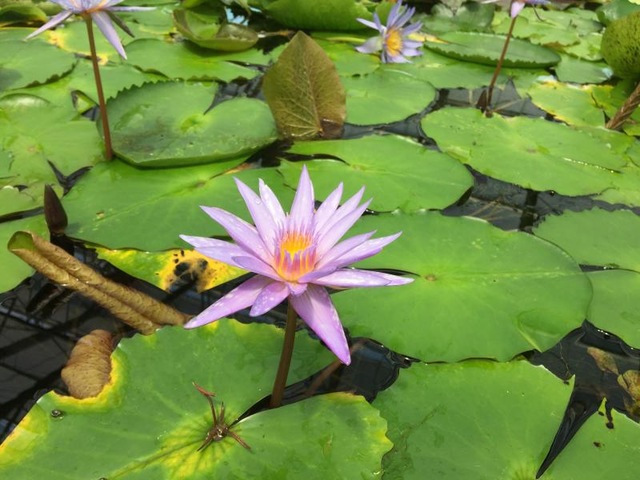 施設写真578
