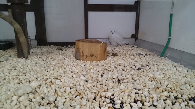 施設写真554