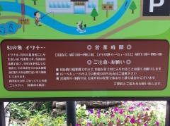 フライフィッシング須谷川