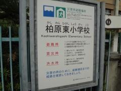 柏原東小学校