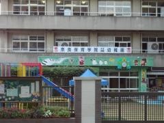 奈良保育学院付属幼稚園