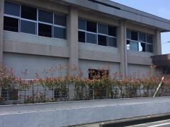 林小学校
