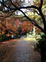 大興善寺