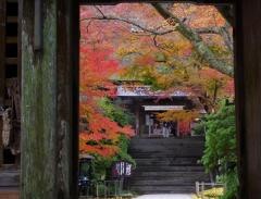 大興善寺