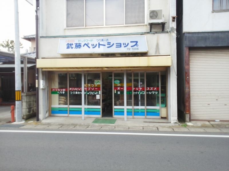 外観
