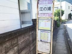 「江の浦」バス停留所